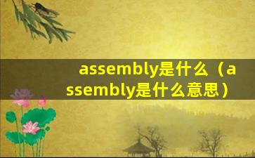 assembly是什么（assembly是什么意思）