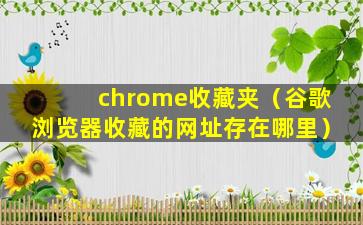 chrome收藏夹（谷歌浏览器收藏的网址存在哪里）