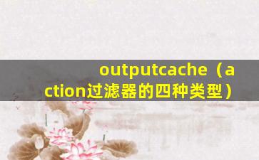 outputcache（action过滤器的四种类型）