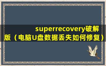 superrecovery破解版（电脑U盘数据丢失如何修复）