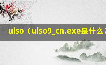 uiso（uiso9_cn.exe是什么？）