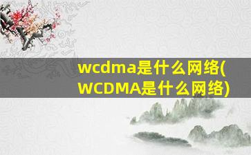 wcdma是什么网络(WCDMA是什么网络)