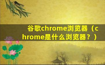 谷歌chrome浏览器（chrome是什么浏览器？）